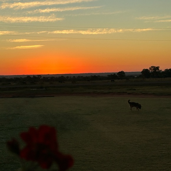 Announcing‼️ - Picture 4 of 5